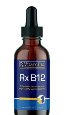 injectable b12 for pets online without a prescription Rx Vitamins B12 for Dogs and Cats- Dog Digestive Support for Improved  Metabolic Process- Pure B12 for Cats to Support Nervous System- Ideal for  Your Dog Vitamins and Cat Supplies- 4oz -
