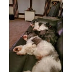 Image 6 of customer photos