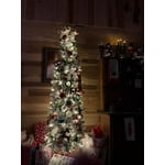 Image 4 of customer photos