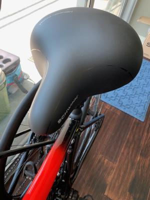 schwinn pathway commuter bike seat