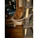 Image 4 of customer photos