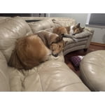 Image 7 of customer photos