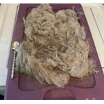 Image 4 of customer photos