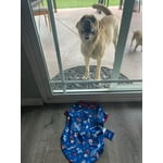 Image 7 of customer photos