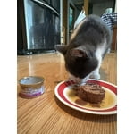 Image 6 of customer photos