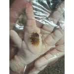 Image 7 of customer photos