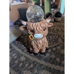 Image 5 of customer photos