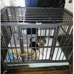 Image 6 of customer photos