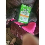 Image 6 of customer photos