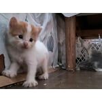 Imagen 7 de las fotos del cliente