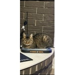 Image 1 of customer photos