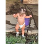 Image 1 of customer photos