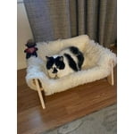 Image 2 of customer photos