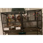 Image 4 of customer photos