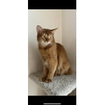 Image 3 of customer photos