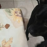 Image 6 of customer photos