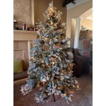 Image 4 of customer photos