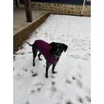 Image 4 of customer photos