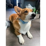 Image 7 of customer photos