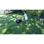 Image 5 of customer photos