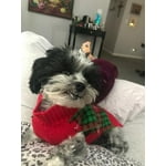 Image 3 of customer photos