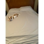 Image 4 of customer photos