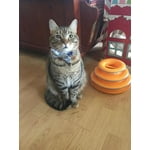 Image 3 of customer photos