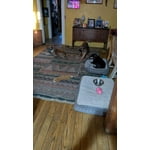 Image 8 of customer photos