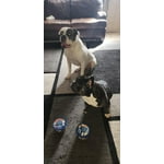 Image 5 of customer photos