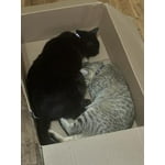 Image 6 of customer photos