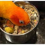 Image 4 of customer photos