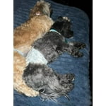 Image 4 of customer photos