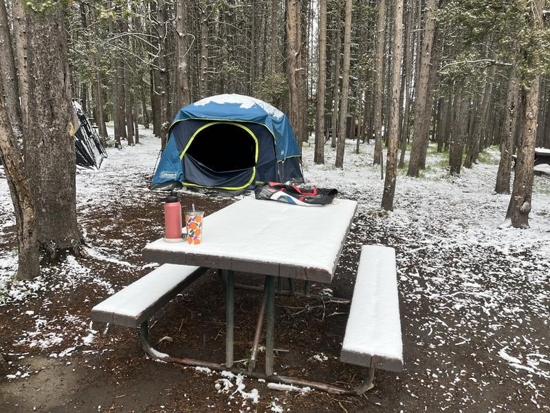 Coleman Skydome 6-Person Camping Dome Tent, Blackberry C002