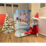 Image 4 of customer photos