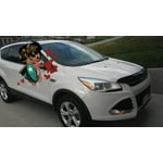 Image 1 of customer photos