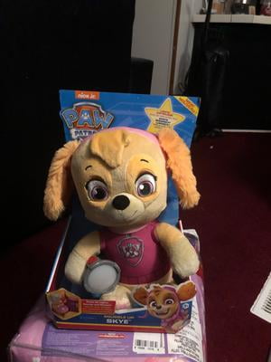 snuggle up chase with flashlight