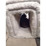 Image 2 of customer photos