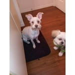 Image 2 of customer photos