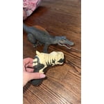 Image 2 of customer photos