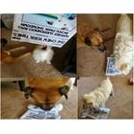 Image 6 of customer photos