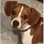 Image 5 of customer photos