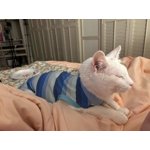 Image 2 of customer photos