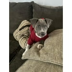 Image 5 of customer photos