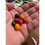 Image 7 of customer photos