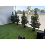 Image 2 of customer photos