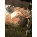 Image 4 of customer photos