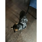 Image 6 of customer photos