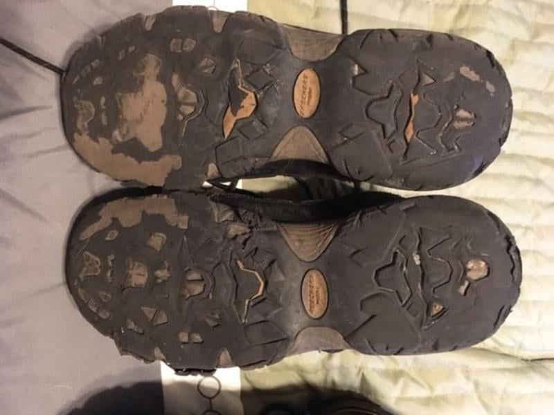 skechers blais bixford