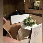 Image 1 of customer photos