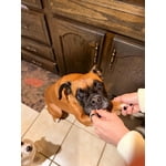 Image 4 of customer photos